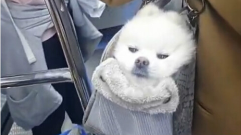 哈哈哈生无可怜的感觉~~~